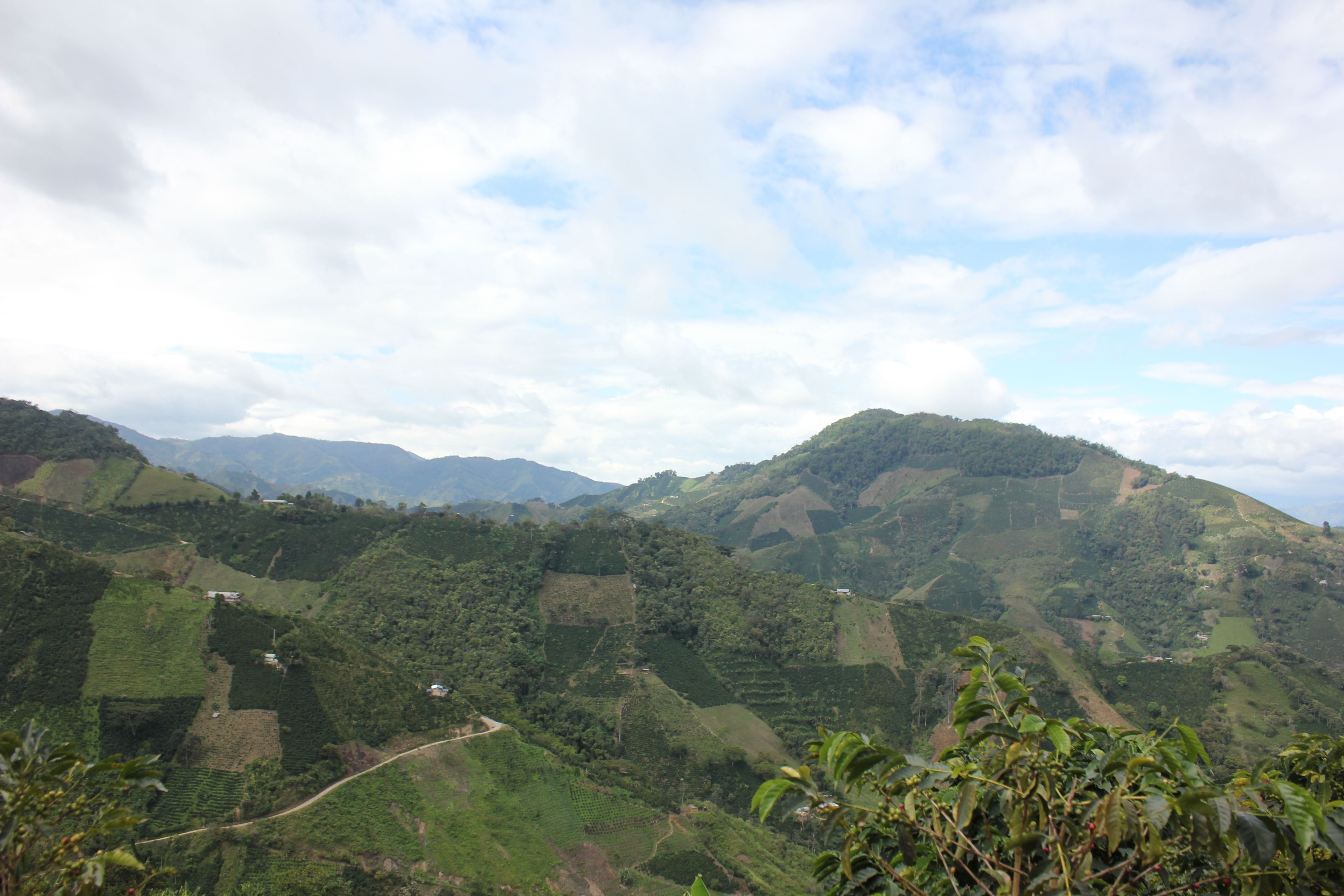 Rolling green hills with patches of farmland and scattered trees under a partly cloudy sky, with mountains visible in the distant background.