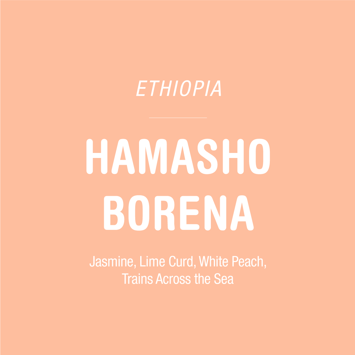 Text on a peach background reads: TANDEM COFFEE ROASTERS Hamasho Borena - Ethiopia Jasmine, Lime Curd, White Peach, Trains Across the Sea. Discover the vibrant notes of Ethiopian coffee from Tandem Coffee Roasters’ Hamasho Borena.
