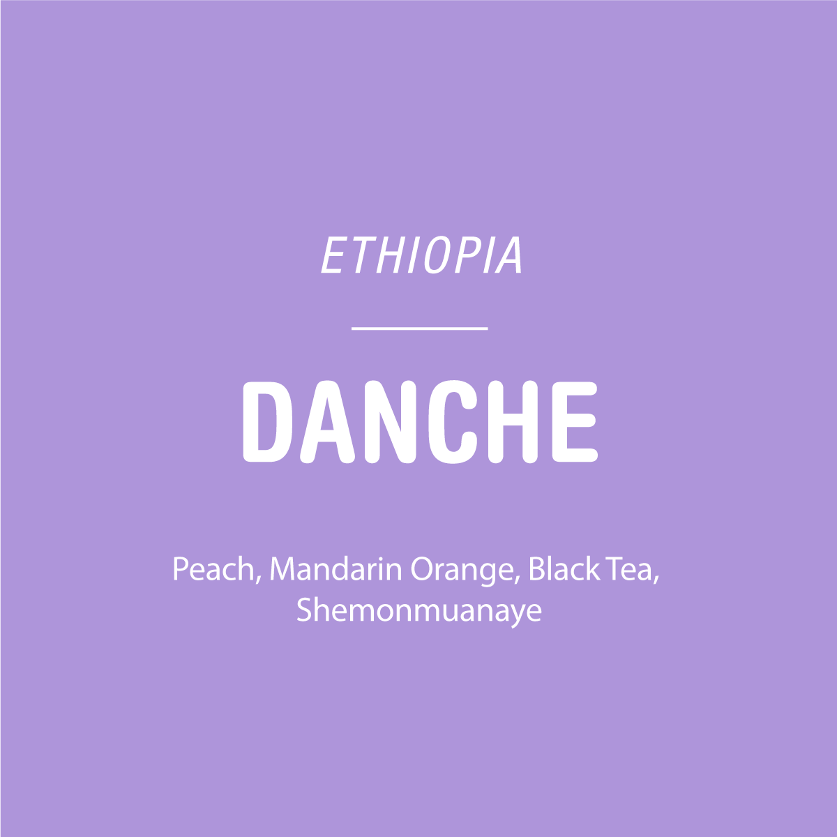 Text on a purple background reads: “Danche - Ethiopia. Peach, Mandarin Orange, Black Tea, Shemonmuanaye.” Enjoy this washed coffee by Tandem Coffee Roasters—premium Ethiopian beans with vibrant tasting notes.