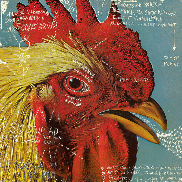 A close-up illustration of a rooster’s head against blue, overlaid with handwritten notes and doodles inspired by Pavement’s "Watery Domestic," creates a chaotic, collage-like effect for Tandem Coffee Roasters.