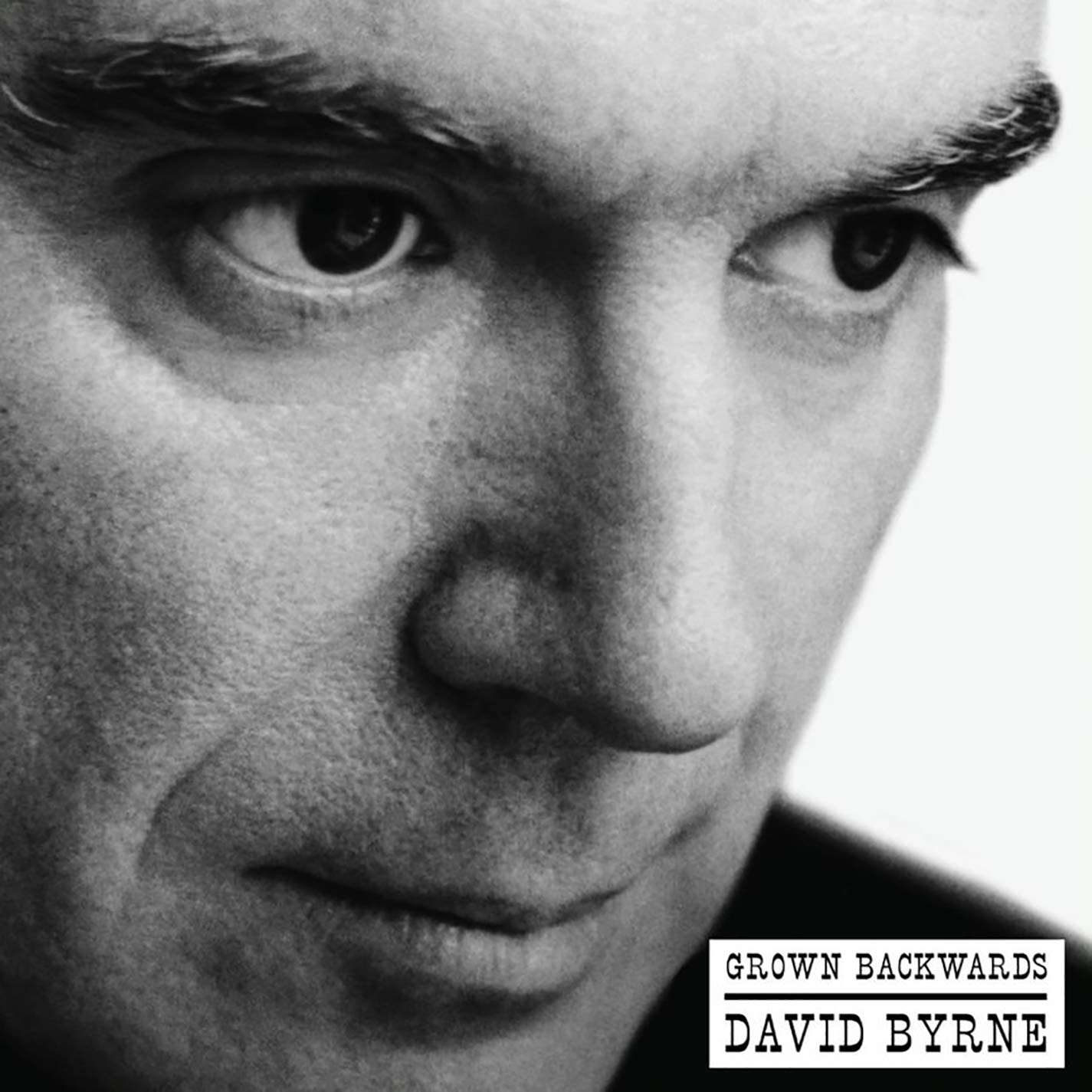 A black and white close-up of a man's face with intense eyes, featuring "David Byrne - Grown Backwards" by Tandem Coffee Roasters—now reissued on vinyl with bonus tracks, title text in the bottom right corner.